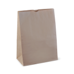 SOS #20 Brown Paper Carry Bag